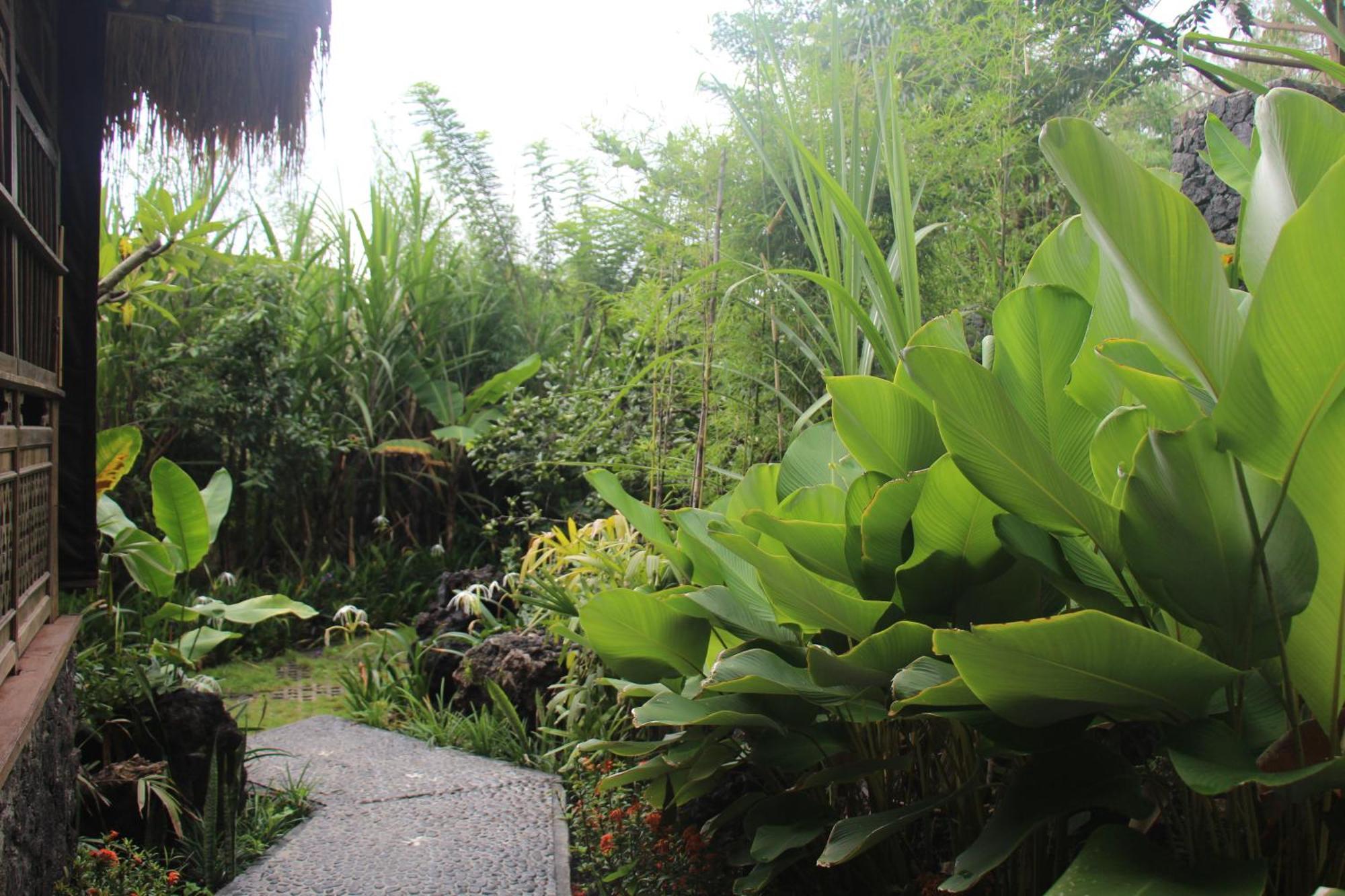 Geopark Village Kintamani  Exterior photo